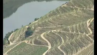 S. Joao da Pesqueira - A Construcao de Uma Realidade