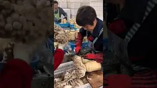 🍄 Mushroom Cutting and Packing Process #Short #shorts #AzxmoFarmingtech