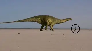 3D Dinosaur Animation . CFV