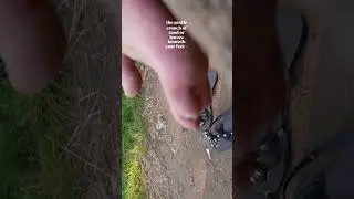 ASMR Barefoot Walk &ndash; Dirty Feet and Grounding in Nature