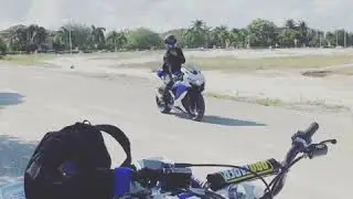 Pack meet up