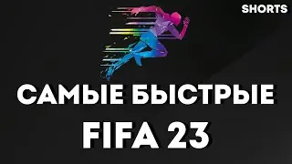 Самые быстрые в FIFA 23