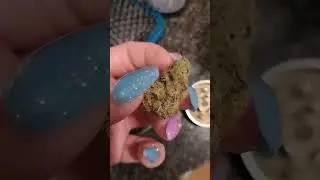 Mandarin cookies 🍊 🍪🍪