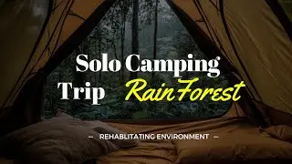 Forest Solo Camping Soothing Rain And Light Puddle Splashes