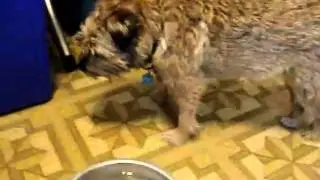 Bad Tasting Water