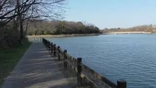 勅使池全景