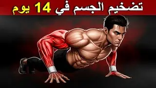 7 تمارين جبارة للمبتدئين لتضخيم الجسم بالكامل بسهولة من عمر 18 الي 60