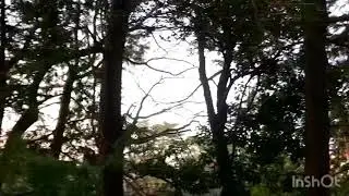 ghost tube in白水公園　結果無