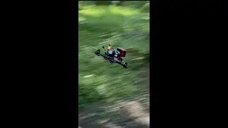 FPV: funny crash in forest #shorts