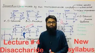 Disaccharides | Class 9 Biology Chapter 6 Biomolecules | New PTB Book 2025 | New smart syllabus 2026