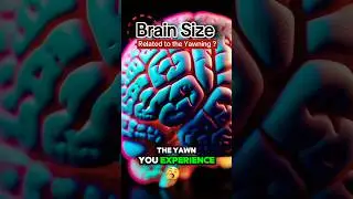 😲 Do Longer Yawns Mean a Bigger Brain? 🧠 The Science Behind Yawning! 🤯