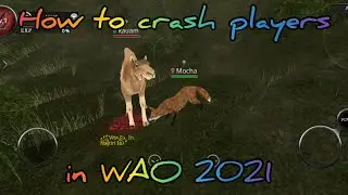 How to crash players in WAO 2021