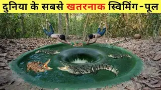 World's most dangerous swimming pools | Most Dangerous Swimming Pools | #shorts