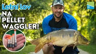 ÚSPĚŠNÝ LETNÍ LOV NA PELLET WAGGLER | Jirka Matej | plavaná