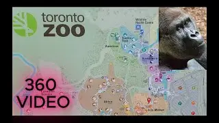 GUERILLA - TORONTO, CANADA - VR 360 - INSTA360 X5 - FOR META QUEST & VISION PRO
