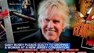 Actor Gary Busey pleads guilty in 2022 South Jersey groping case
