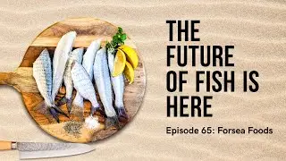 The Future of Fish is Here: Forsea's Cultivated Eel