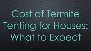 Cost of Termite Tenting for Houses: What to Expect