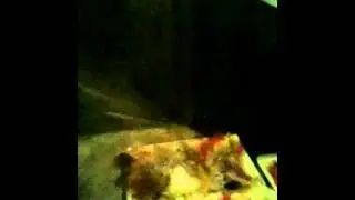 Tim Fogarty - Green Room Tortilla Chip Drum Solo