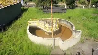 Backwash water tank and return to the treatment process