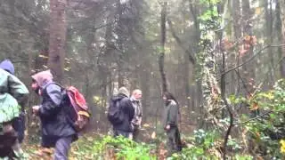 Notre-Dame-des-Landes #NDDL #ZAD