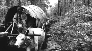 US soldiers with ox carts moving along a narrow muddy jungle road in Chaungtha, B...HD Stock Footage