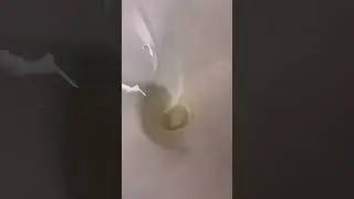 Diesel ￼pouring￼ video uploaded ...💚💚💚💚💚￼