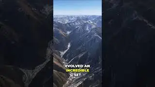 The Ghost of the Mountains: The Snow Leopard's Extreme Survival Secrets #Leopard #Shorts