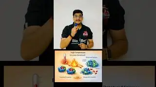 Enzyme #viral #education #biologicofficial #biologylecturer #trending #neet