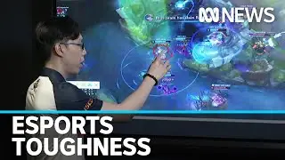 Winning elite gamers have same mental toughness as athletes, study finds | ABC News