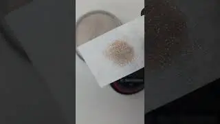 MEDUSA coloured glitter acrylic powder Swatch ELNS EL Nail Systems