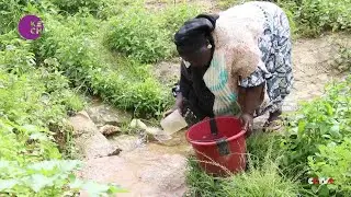 Nigerian rural communities struggle to access clean water