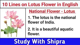 10 Lines Essay on Lotus in English | Short Essay about National Flower in English  | Lotus | 🪷🪷