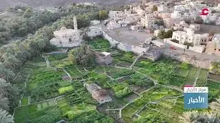 بث مباشر | نشرة أخبار الثانية ظهرا
