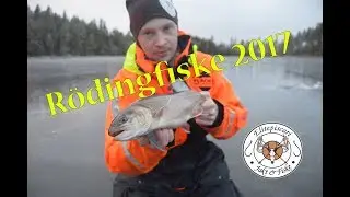 Rödingfiske - Arctic Char Fishing 2017