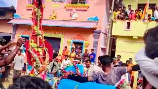 hori habaa 2020 mubrak bull🐂🐂