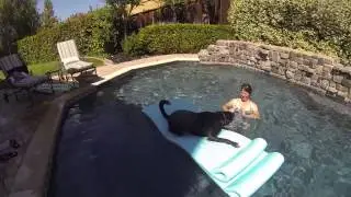 hurley pool loungeking