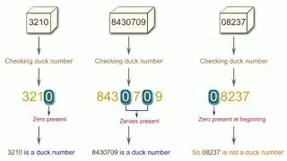 Duck Number in Java