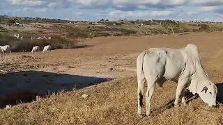 só par mostra   o  tempo com ta 