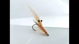 Salmon Pink STF Shrimp