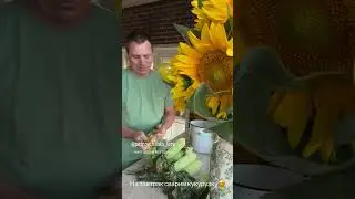 #garden #жизньзагородом #рецепты #огород #shorts