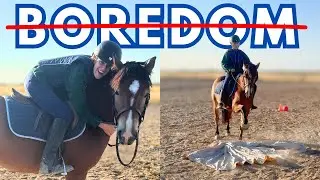 Bored Horse Hacks! (Easy Exercises)