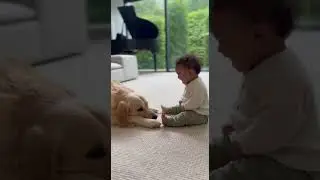 Baby Laughing at Dog! 😂 Best Friends Forever! 🐶