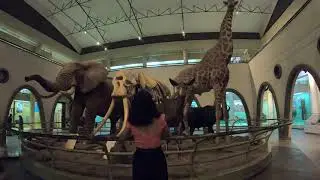 Viaje r&aacute;pido por Naibori, Kenya 2019