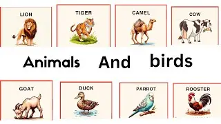 Learn About Animals And birds | with Kids Zone| #creativeactivities #funlearning #animals #animal