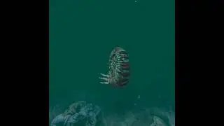 Ocean rift!!!