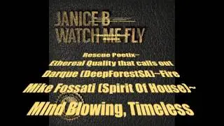 Janice B - Watch Me Fly (The Remixes)