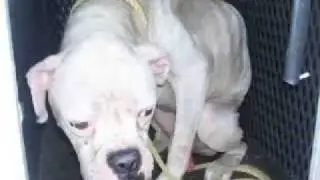 What is Rescue?
