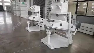 Efficient Rice Destoner Machine | Remove Stones and Impurities in Rice Processing  #Destoner