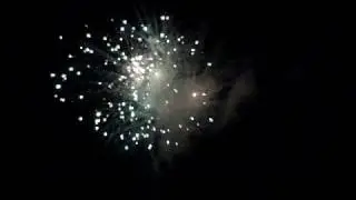 FANCY GALA :: GalaStar